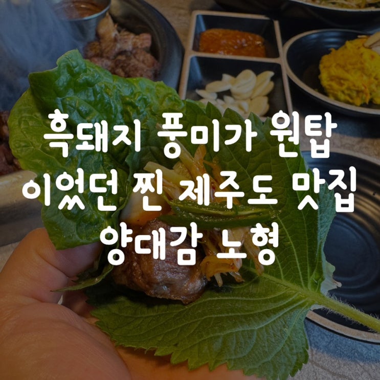 흑돼지 풍미가 원탑 이었던 찐 제주도 맛집 양대감 노형