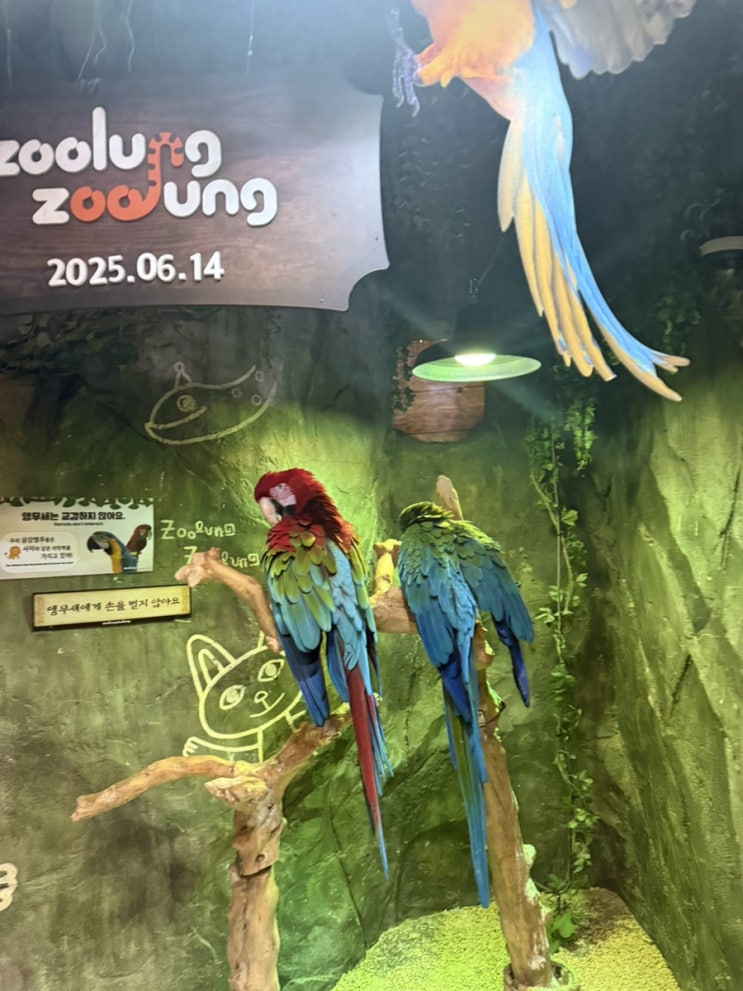  주렁주렁 실내 동물원 하남점 아이랑 스타필드 나들이