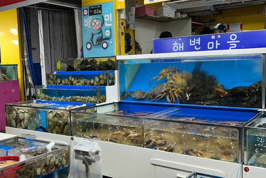 청송식당 사진 6