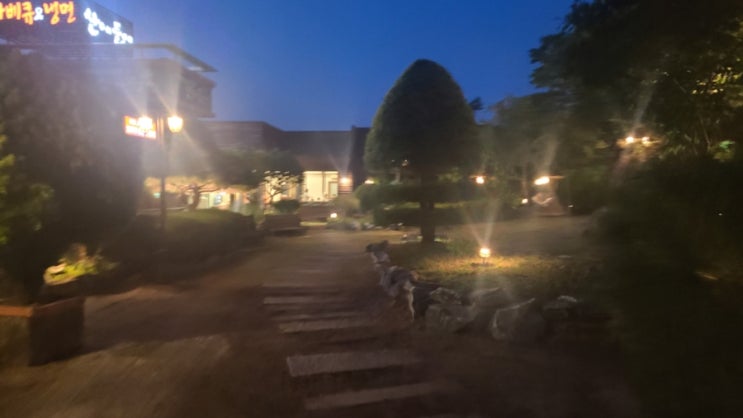  파주 탄현면 돼지갈비 맛집 참숯 비비큐 산에들에 로봇 서빙하는곳