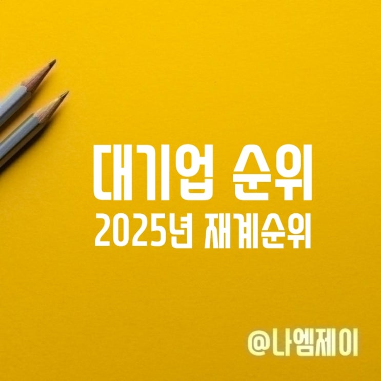 국내 대기업 순위 및 기준 (2025 재계순위) 국내 대기업 순위 및 기준 (2025 재계순위)