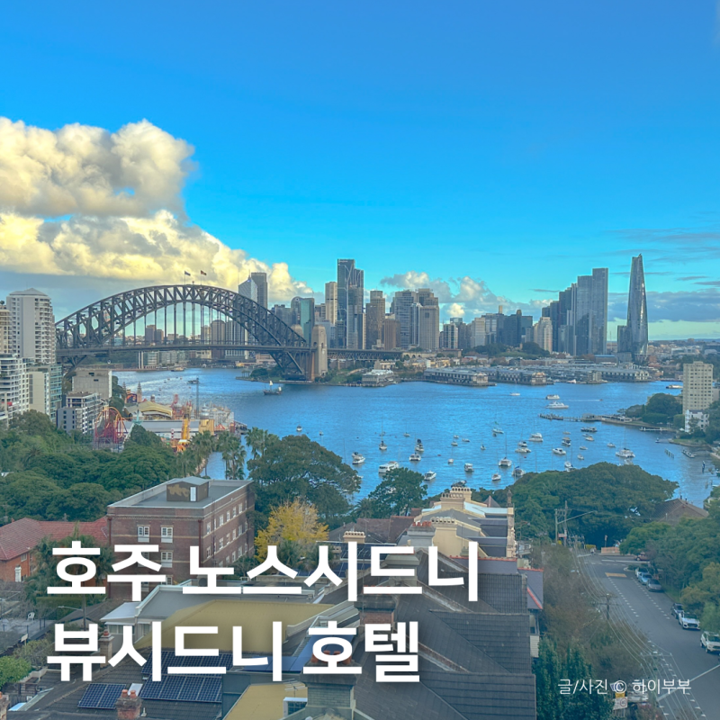 사진 4