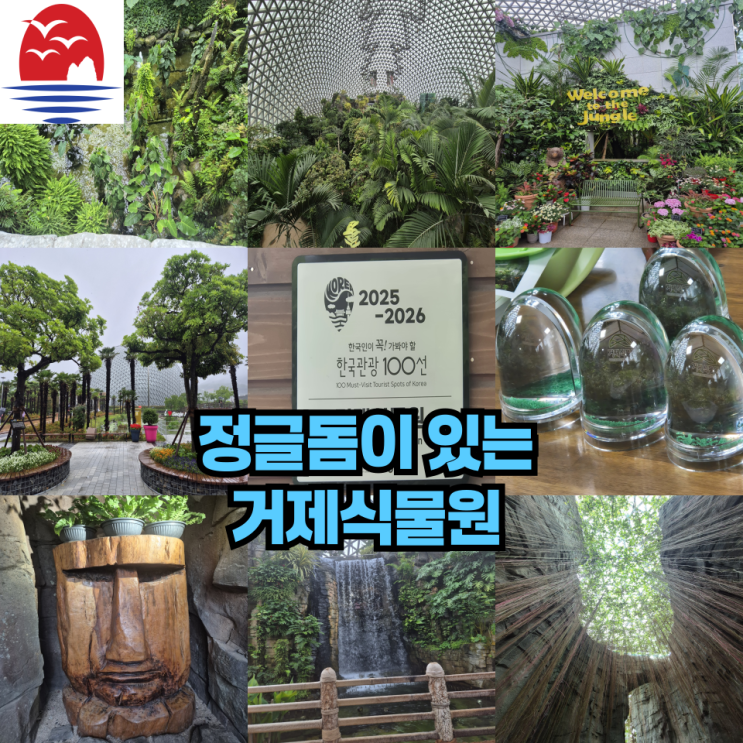  비오는날 방문한 정글돔이 있는 거제식물원