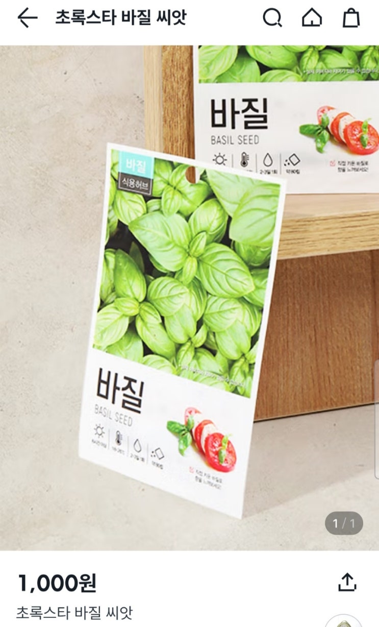  바질을 키워봅시다