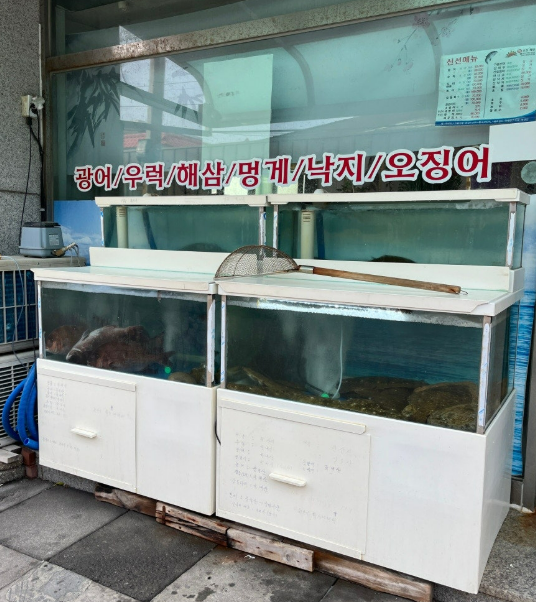 신선횟집 사진 2