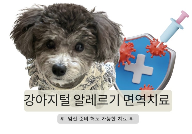  전주 알레르기 검사와 면역치료