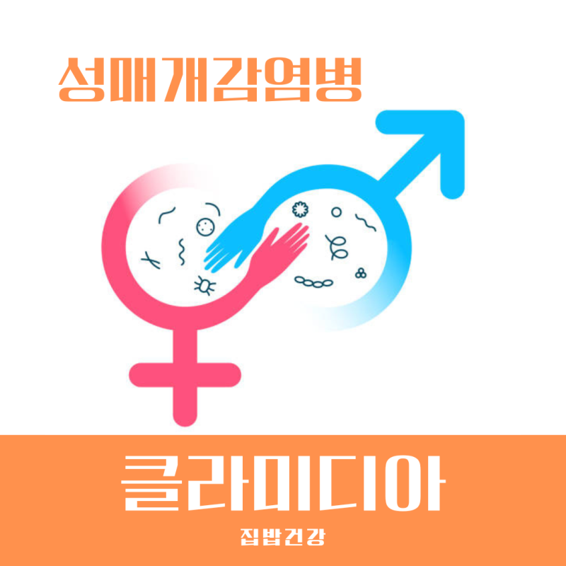 클라미디아 감염 원인부터 증상 잠복기 재발까지 총정리