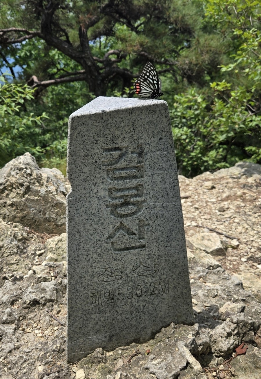 밤나무추억길 사진 1