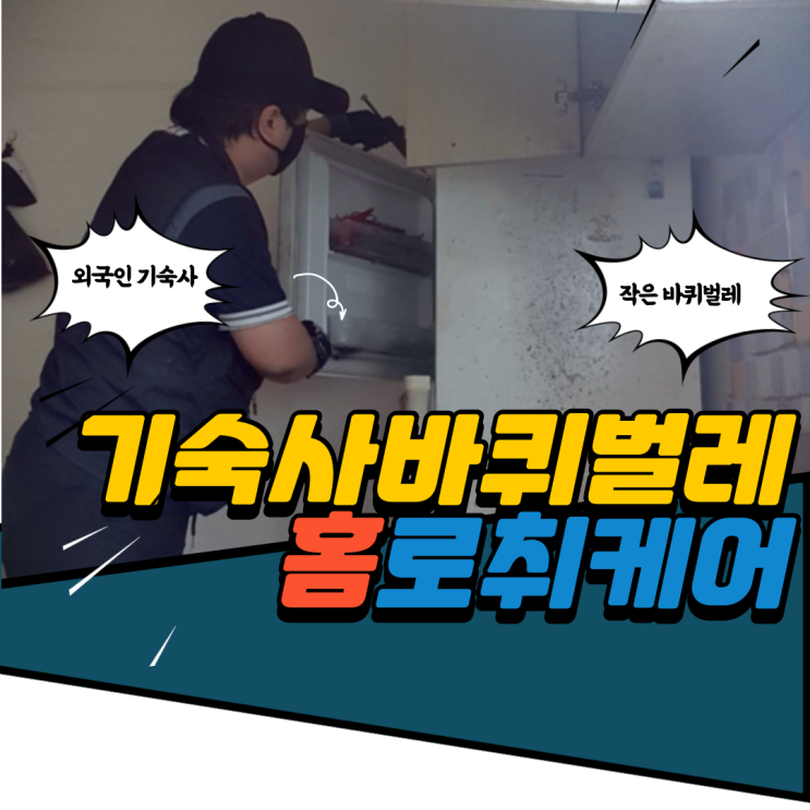 기숙사, 자취방 필수! 바퀴벌레 퇴치 해충 전문가 해결