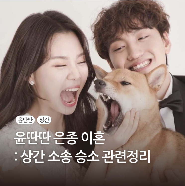 <b>윤딴딴 은종</b> 이혼 상간 소송 승소 관련정리