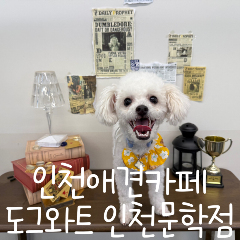 사진 3