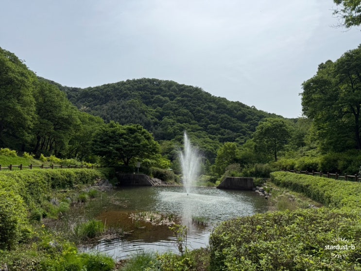  10개월 아기랑 여행- 파주 율곡수목원에서 봄 날씨 느끼기