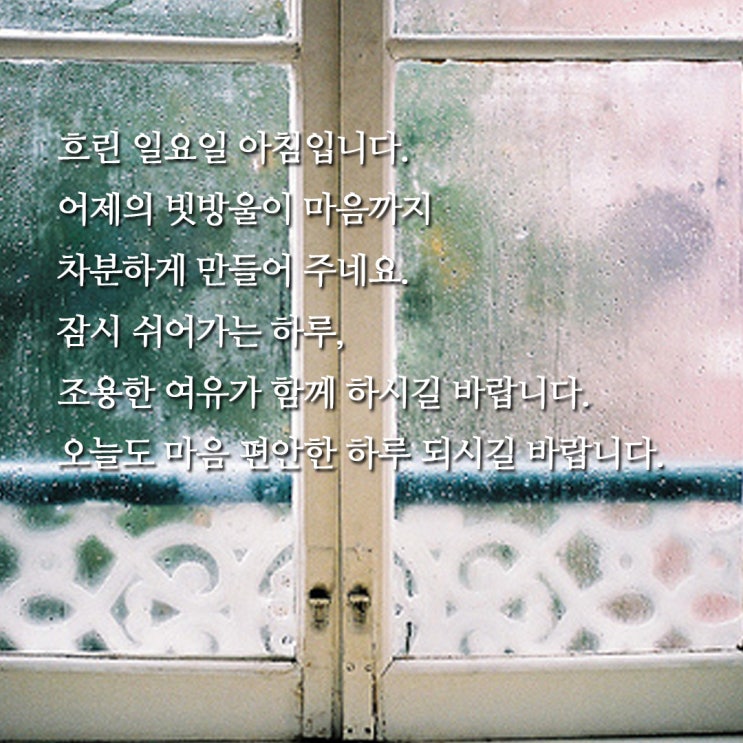  6월 일요일 주말 아침인사말(비오는날)