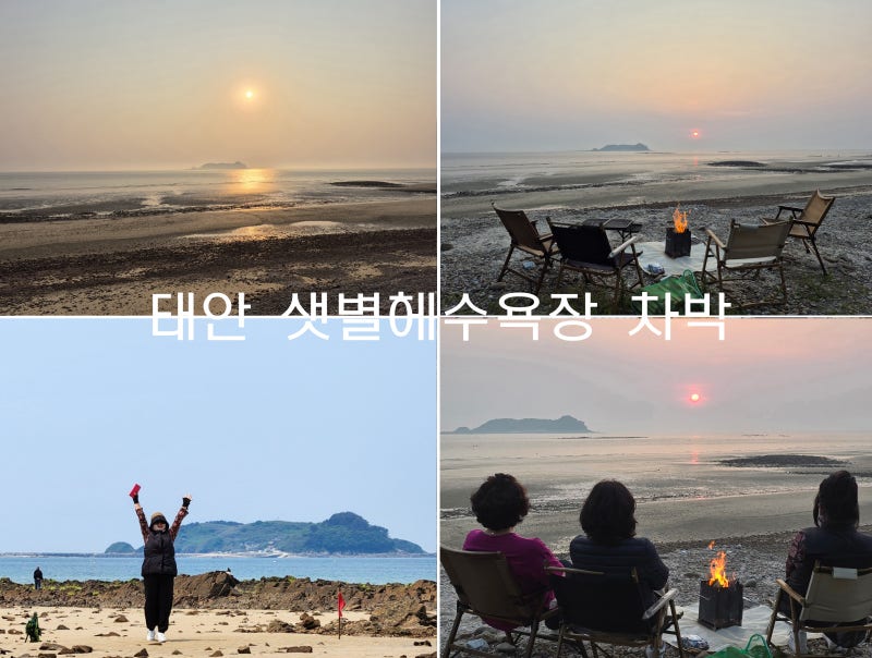 사진 2