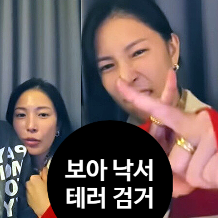  보아 낙서테러 범인 검거! 30대女 CCTV 충격 공개 눈물사죄
