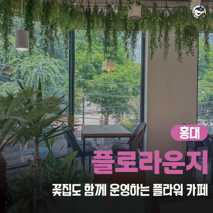  [카페 | 홍대] 플로라운지 홍대점(연남동 꽃집 추천)