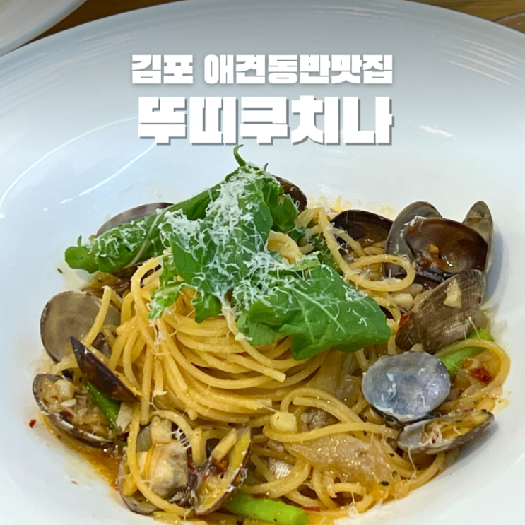  김포브런치맛집 꾸띠쿠치나 애견동반가능