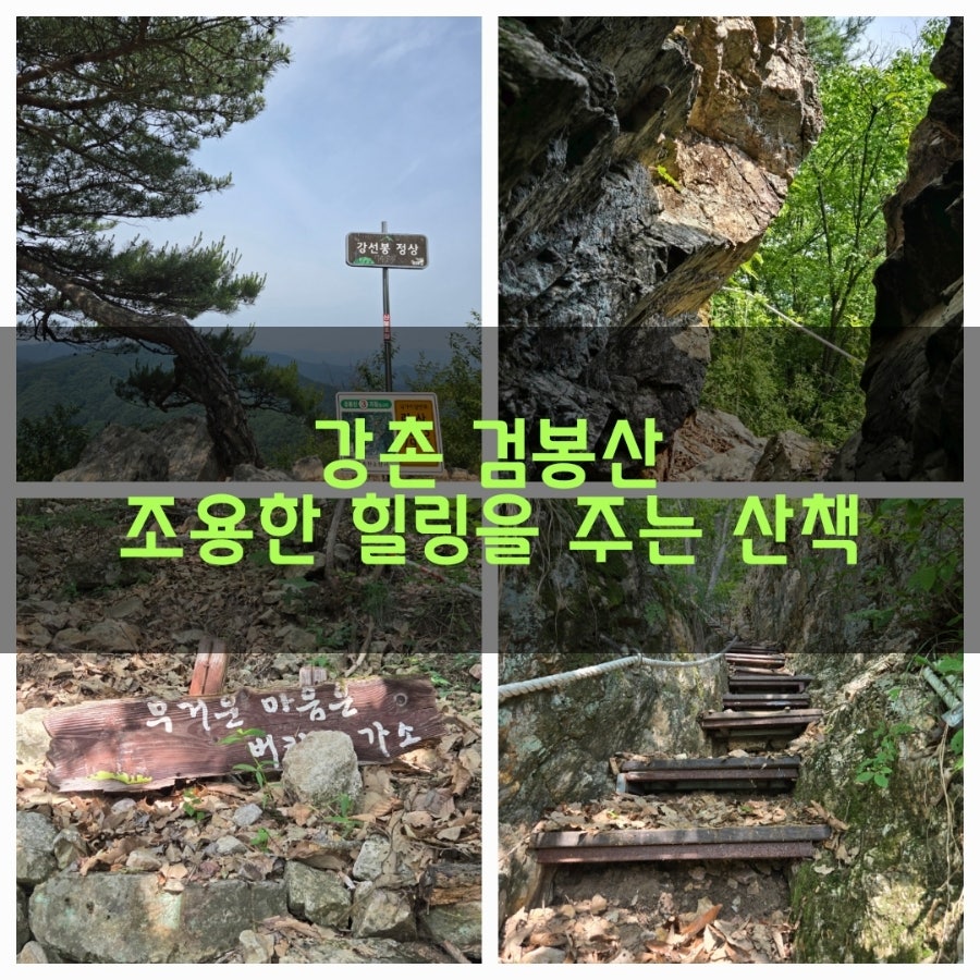 밤나무추억길 사진 2