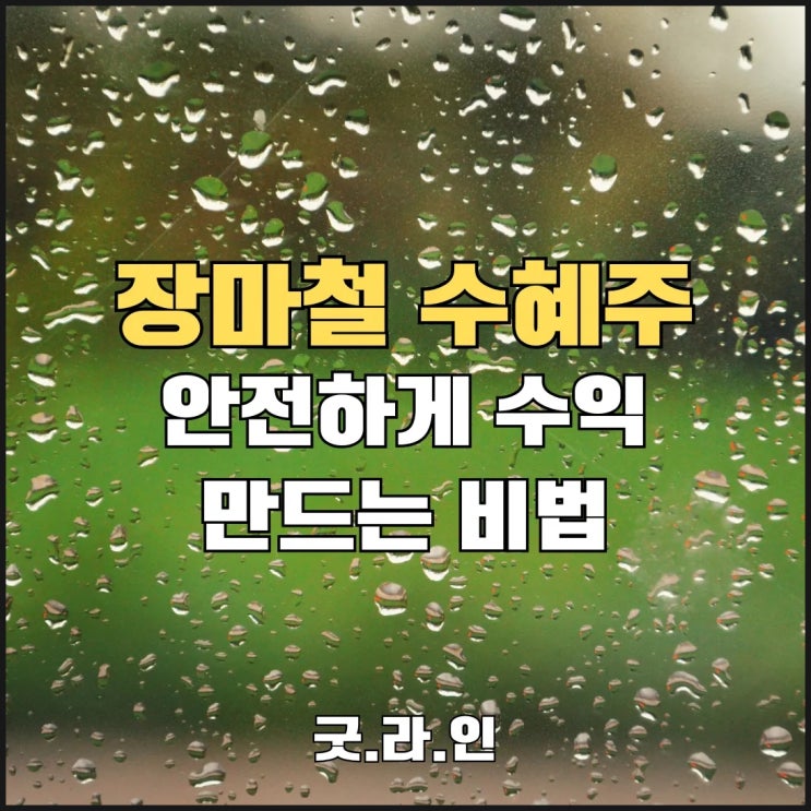 장마철 수혜주로 안전 수익 만드는 투자법 공개! 비가 올수록 오르는 수익률의 비밀! 장마철 수혜주로 안전 수익 만드는 투자법 공개! 비가 올수록 오르는 수익률의 비밀!