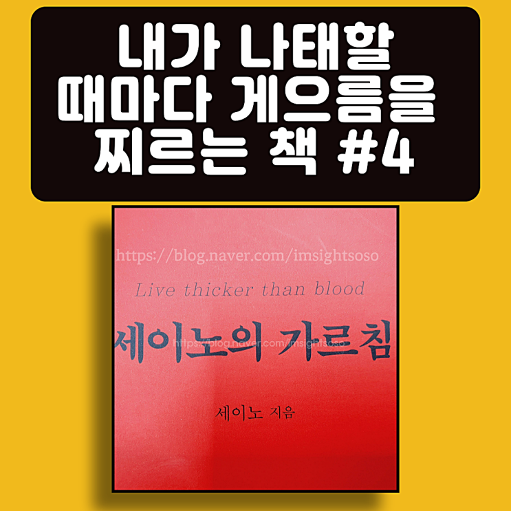 세이노의 가르침, 세이노, 게으름 극복 필독서, 자기계발 책추천: 내가 나태할 때마다, 게으름을 찌르는 책 #4