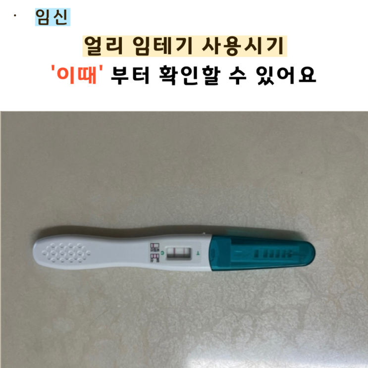  얼리 임신테스트기 사용시기 둘째 임신 확인