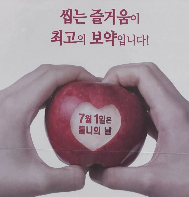 [대문니 임플란트 후기] 2030여자, 사고로 앞니 3개 임플란트하게 된 약 5개월의 여정 총 정리
