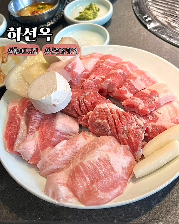  부산 동래 구워주는 고기집 하선옥 모듬 숙성 돼지고기 온천장맛집