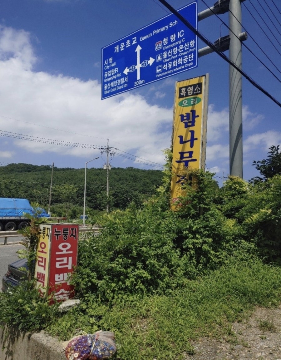 밤나무집 사진 2