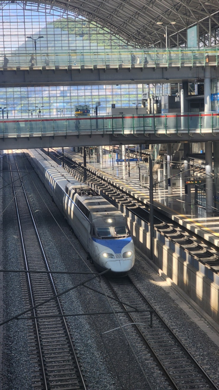  [광주행 KTX 여행기  | 건강검진, 임방울 전시관, 북동성당, 본가의 육회 한 그릇까지]