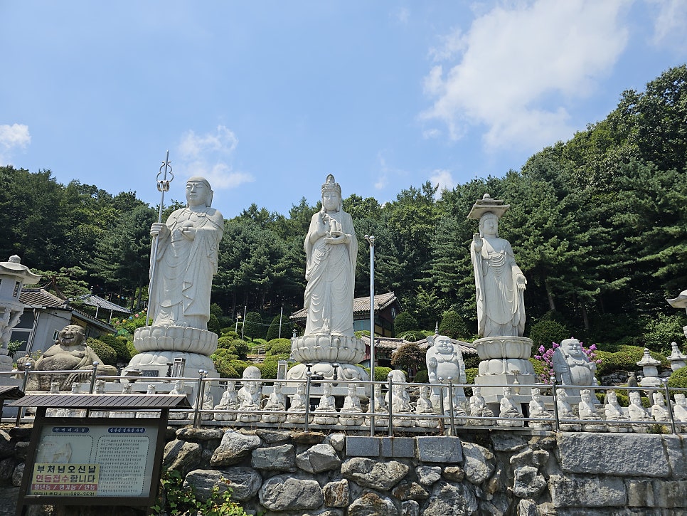 연화산 사진 6