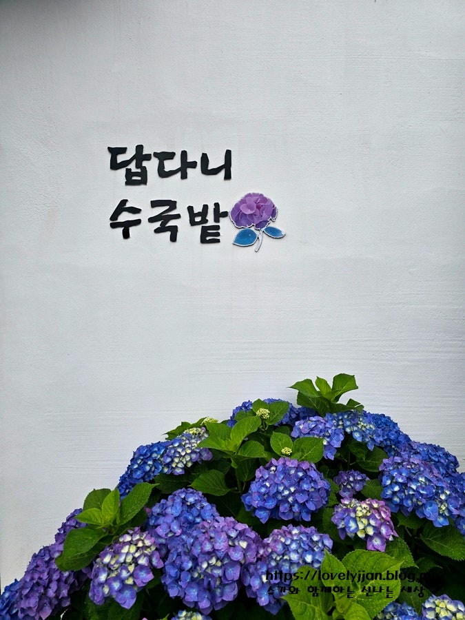 사진 5