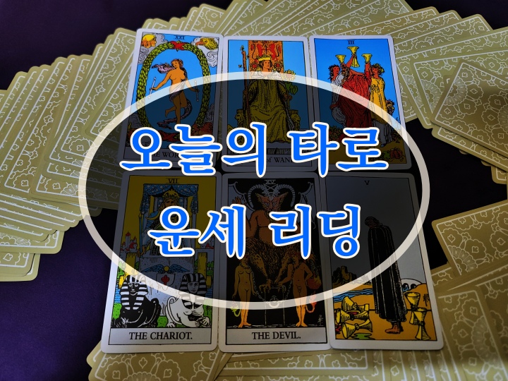 [오늘의 띠별 운세] 타로리딩 2025년 6월 16일 월요일