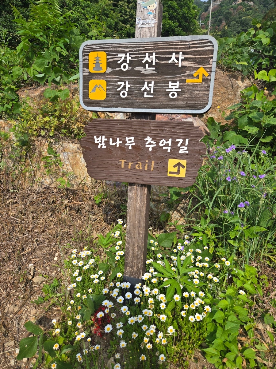밤나무추억길 사진 5