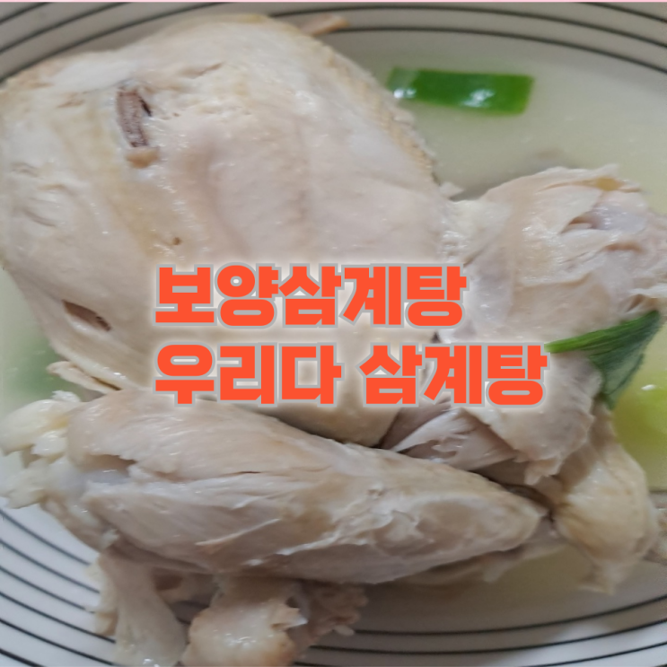  여름보양식으로 추천! 진한 국물의 보양삼계탕 곰탕우리다 집에서 간편하게!