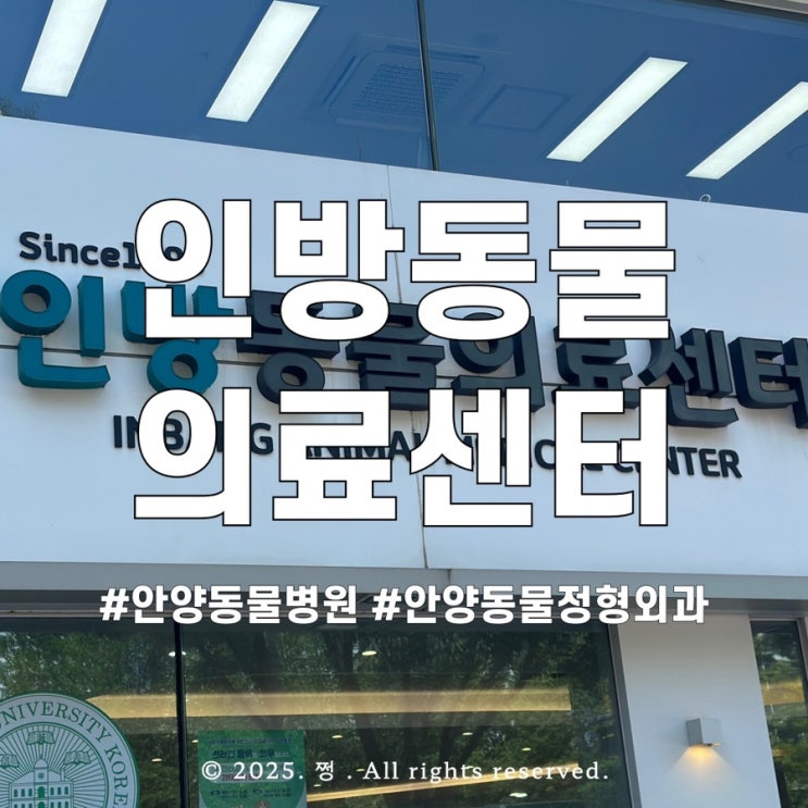 안양 동물병원 슬개골 탈구 수술 전문 인방동물의료센터