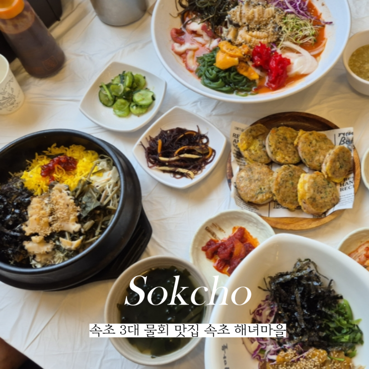  속초 3대 물회 맛집 속초바람꽃해녀마을 애견동반 가능 식당 추천