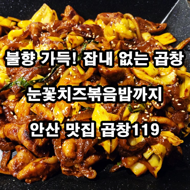  안산 곱창 맛집 곱창119 리뷰｜눈꽃치즈볶음밥까지 완벽한 조합