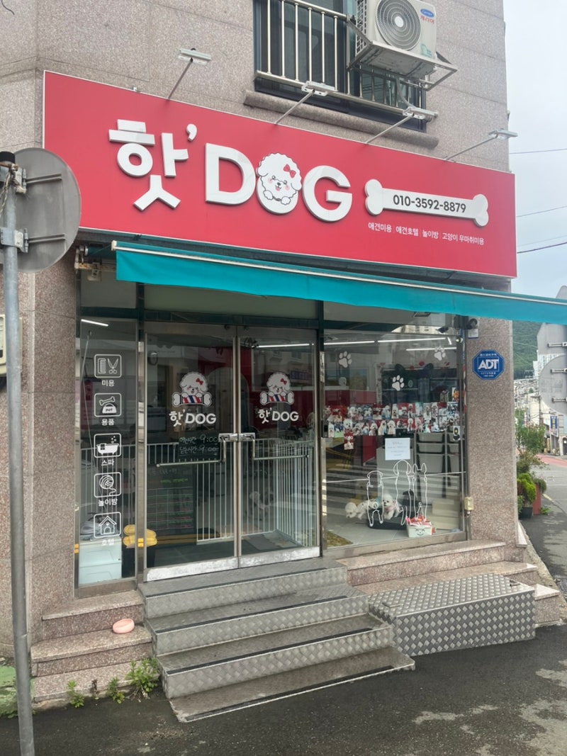 사진 4
