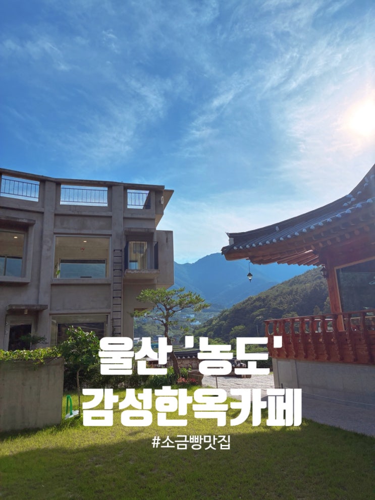  울산카페 농도 후기 울산여행 중 반한 윤슬뷰 한옥베이커리 카페