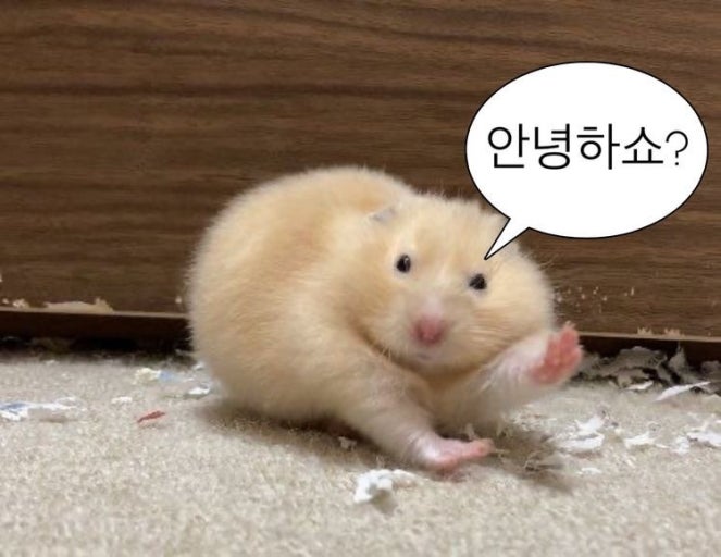  천안 기숙사 비교해 보기_단국대 단우홀 vs 단국대 봉사관 vs 천안 행복기숙사