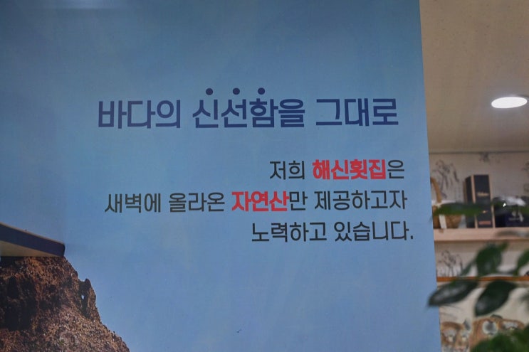  해신자연산횟집, 퇴근 후 부산역맛집에서 신선한 회를 즐기다