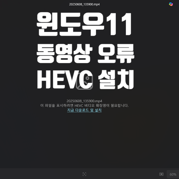  윈도우 기본 플레이어 동영상 재생 오류_HEVC 코덱 무료 다운로드 방법