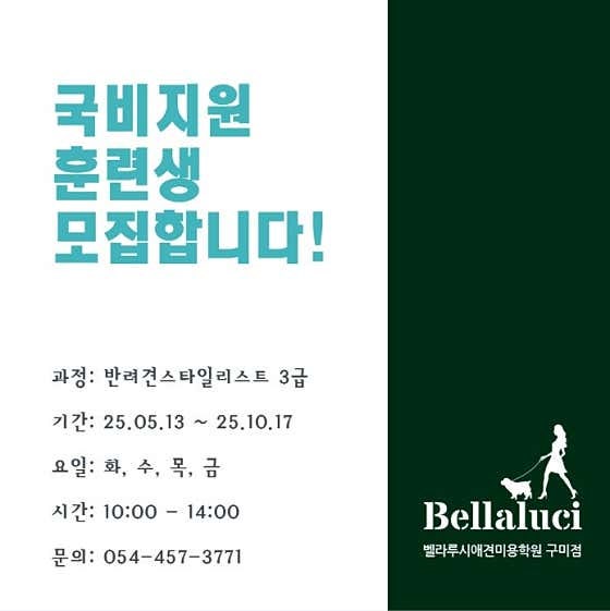 벨라루시애견미용학원 구미점 사진 3
