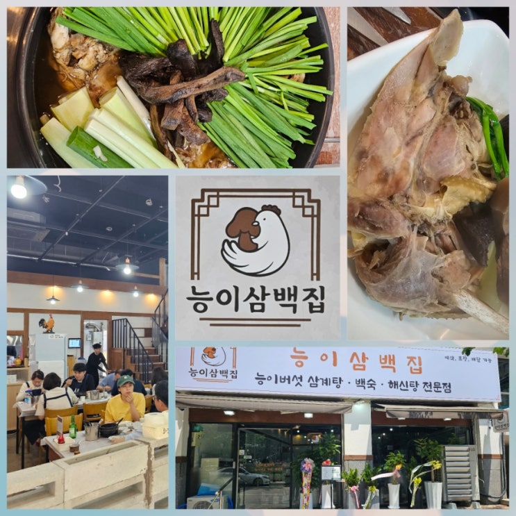  신갈동 능이삼백집 - 부모님 모시고 가기 좋은 능이버섯백숙 맛집 방문 후기