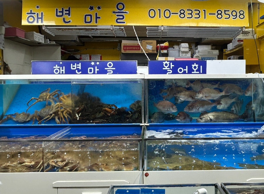 청송식당 사진 5