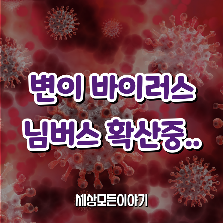 코로나 오미크론을 이은 님버스 변이 바이러스 확산중