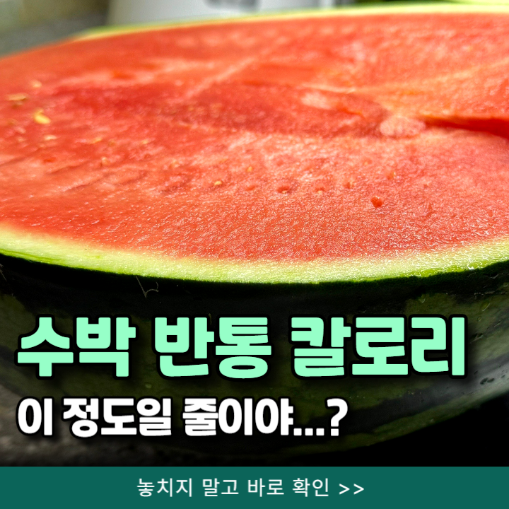  수박 칼로리 한눈에! 한조각 반통 칼로리와 효능 총정리