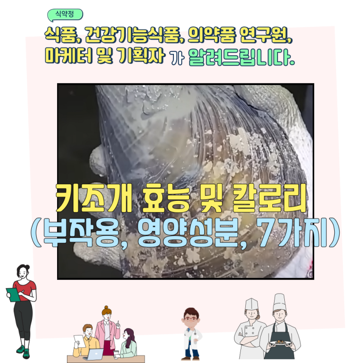  키조개 효능 및 칼로리 (부작용, 영양성분, 7가지)
