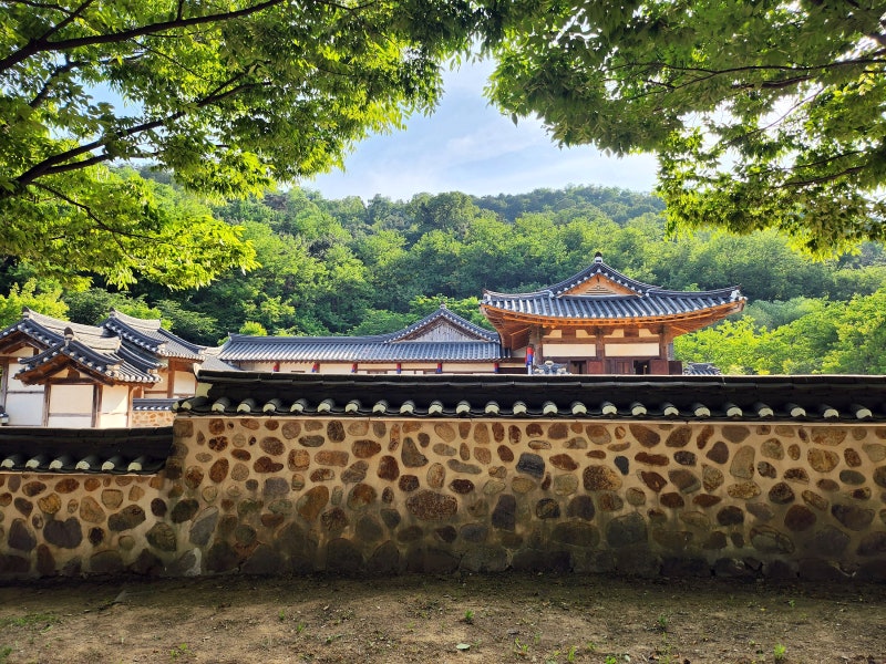 사진 9