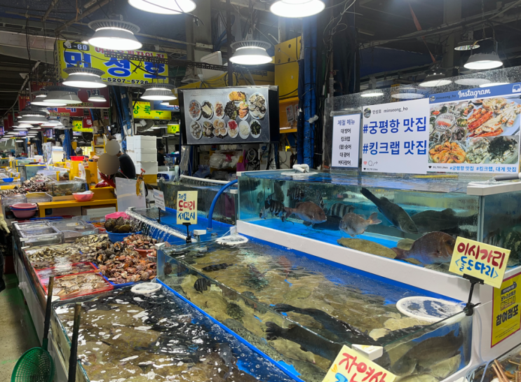  궁평항 수산시장 활어회센터 이용방법ㅣ궁평 낙조 당일치기 서해안 드라이브 추천